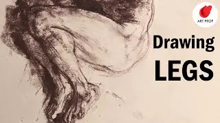 The Best Way to Draw Feet: Anatomy for Artists