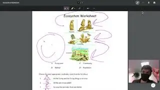 Annotating PDFs on Google Drive using a Chromebook