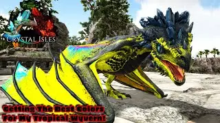 Breeding Up The Tropical Crystal Wyvern For Awesome Colors! Ark Crystal Isles Part 8