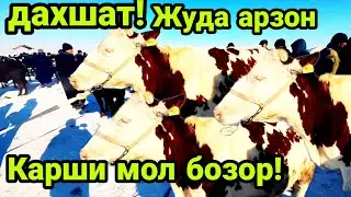 Карши Карвон мол бозори нархлари 15.01.2023 й