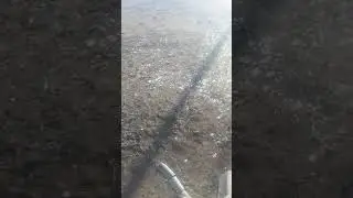 Ого