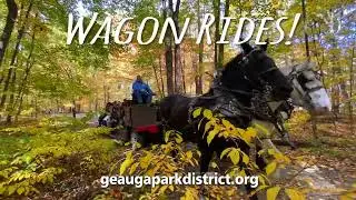 Free Autumn Nature Fun 2024