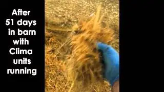 Vencomatic Group: Clima dry litter