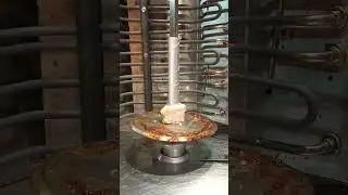 Последний кусок шаурмы