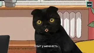Войти в айти | Кот Бублик