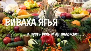 На виваха ягью к друзьям! (vlog) | 25.07.2018