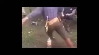 если ты видишь это видео , посмотри не будь жабой