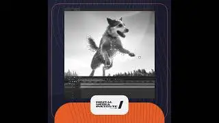Want to Learn Animation? 