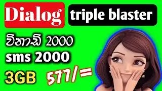 dialog triple blaster 577 package