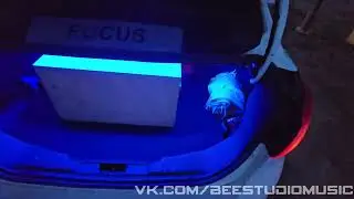 Универсальный качественный бас ( SQ сабвуфер) за 9000 рублей! DL Audio Anaconda 10