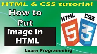 How to Put Image in html [Explained] || HTML and CSS Tutorial (2020)