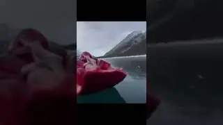 BALLS