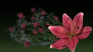 Growing Flowers[+Ivy] Animation-Showreel Blender 2.66