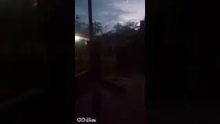 ayam berkokok di pagi buta