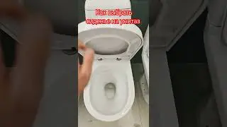 How to choose a toilet seat.