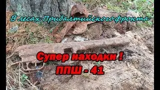 В лесах Прибалтийского фронта. ППШ - 41. / In the forests of the Baltic front. PPSH-41.