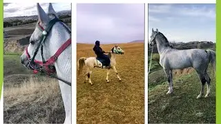 1. часть. Сборник интересных моментов Маквина. 230