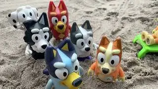 BLUEY Y BINGO VAN A LA PLAYA