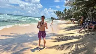 Шри-Ланка 2024 Унаватуна , Хикавуда, Пик Адама, Peacock Beach Hotel