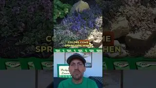 Tough decisions will be made.🤔🌿#garden #gardening #youtube #shorts