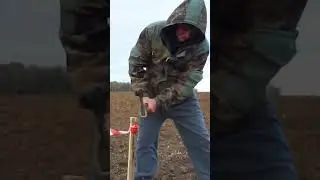Осенняя посадка ягодных плантаций в проекте «Фермерский край» 