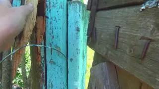 Сломала калитку. Заготовка сирени и одуванчика. 285 серия