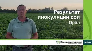 Результат инокуляции сои, Орел