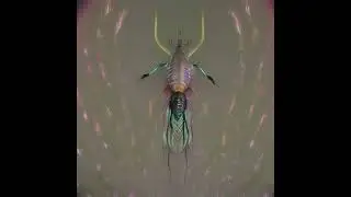 Cosmic Dancing Bicho