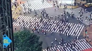 Japonların İcat Ettiği İlginç Seyler