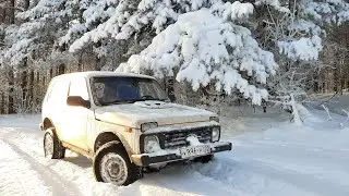 Нива и зимний лес