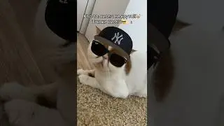 Вопросы?