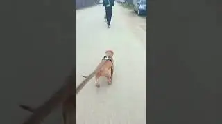 МЫ НАЧИНАЕМ БОЙ 😎😎😎(с лишним весом...)