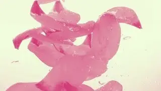 Petals of Tulips Fall in Water 7 | Videohive Project Templates