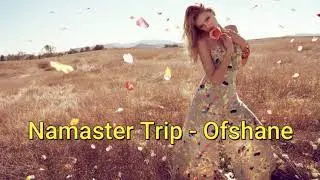 Namaster Trip - Ofshane Audio Library — Music for content creators (No Copyright Music)