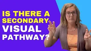 Do You Have  A Secondary Visual Pathway?