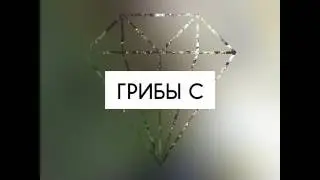 #эх #Рязань