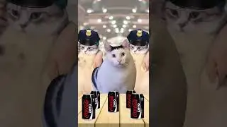 Новости про агушу из Котогорска