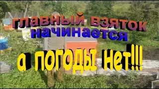 Главный взяток начинается а погоды нет  Что делать в такой ситуации