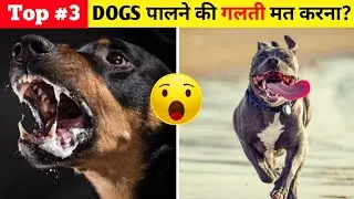 ऐसे Dogs पालने की गलती कभी मत करना?  😲| Top 3 dangerous dog breed @MRINDIANHACKER @FactsMine