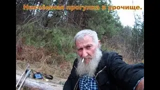 Никчёмная прогулка в урочище
