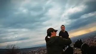 Собака снимает видео на Go pro