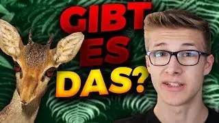 Gibt es... DIESE Tiere wirklich !? #4