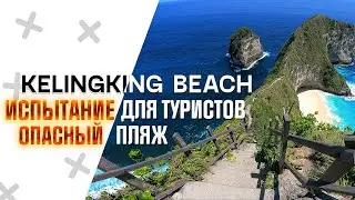 Kelingking Beach | DANGEROUS Path to Paradise Beach | Broken Beach | Nusa Penida