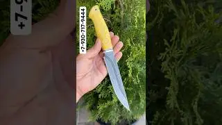 Изящный нож Хищник - красота в каждой детали 