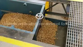 BM&M Agricultural Applications - Almond Screening