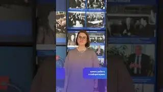 Поехать в командировку на Кольский полуостров или работать в лаборатории?