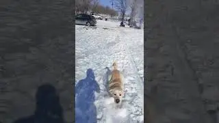 Тест колонки 3.0 #bass #subwoofer #speaker #automobile #music