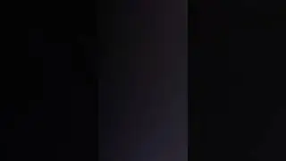 7 августа 2024 г.