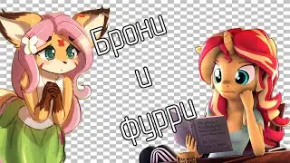 Что общего между Брони и Фурри