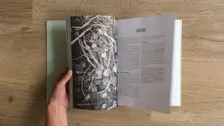 Bladerfilmpje van het boek De Meisjes van de Moestuin van Reny Muller & Amber Carchedi